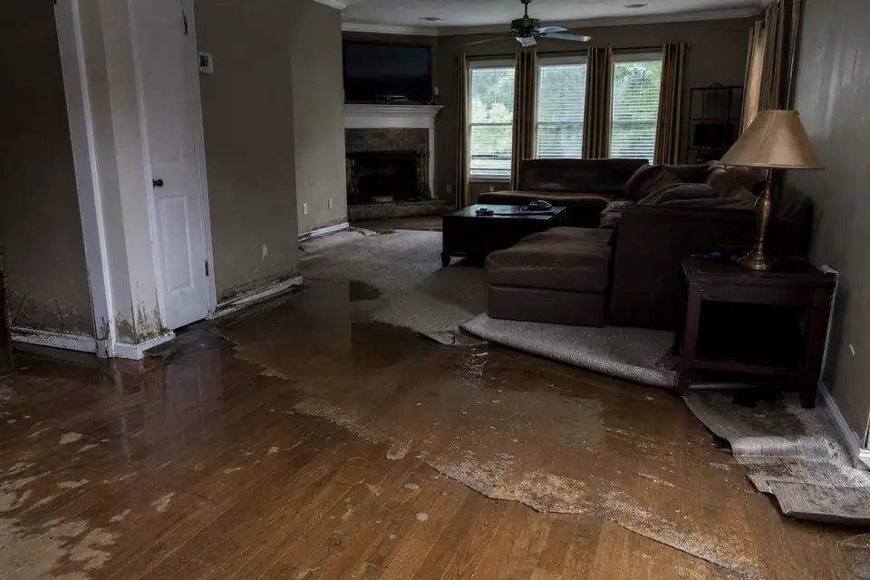 Before: Standing water